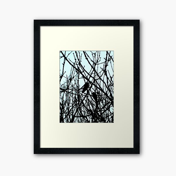 Blackbirds Framed Art Print