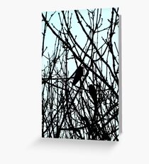Blackbirds Greeting Card