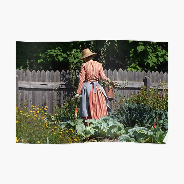 The woman in the garden - Canada Poster