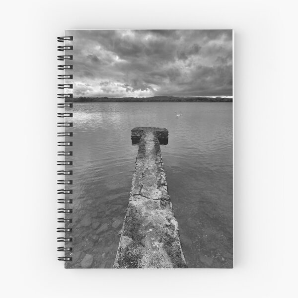 Item preview, Swan Lake designed and sold by Nigel R Bell Photography.