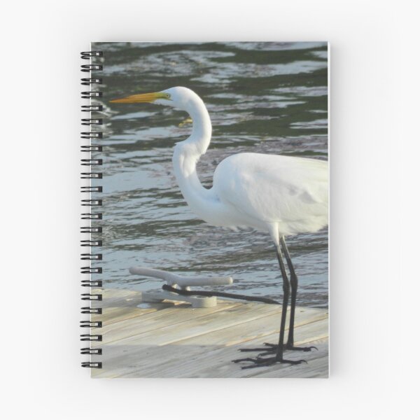 Item preview, Great White Egret at Marina designed and sold by 2CrabbySisters.