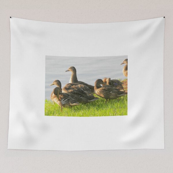 Item preview, Family of Ducks getting a Swimming Lesson designed and sold by 2CrabbySisters.