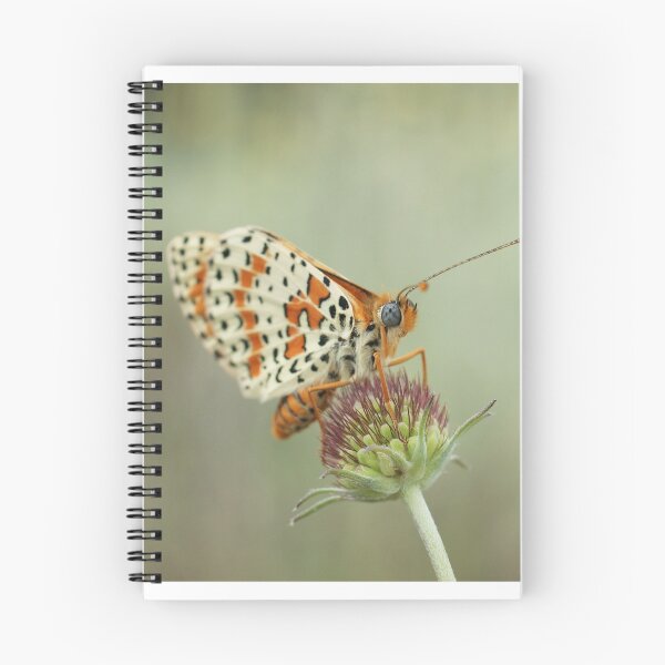 Item preview, Spotted Fritillary designed and sold by marens.