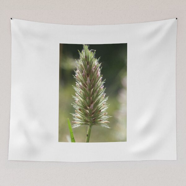 Item preview, Narrowleaf Crimson Clover designed and sold by marens.