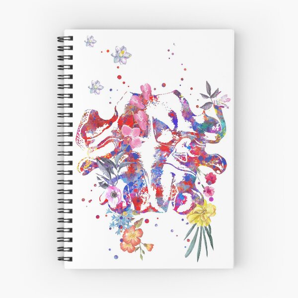 Item preview, Cervical vertebrae, watercolor cervical vertebra designed and sold by Rosaliartbook.