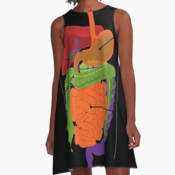 Anatomy T-Shirt - Inside Body Digestion A-Line Dress