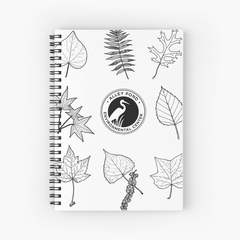 Item preview, Spiral Notebook designed and sold by APECofQueens.