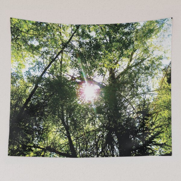 Item preview, Sunburst through the tress by Jerald Simon (Music Motivation - musicmotivation.com) designed and sold by jeraldsimon.