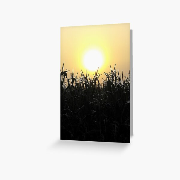 Item preview, Sunrise over cornfield.....Up in the sky designed and sold by jammingene.