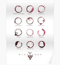 Red Wine Stains Poster