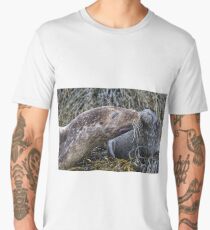 Affection Men's Premium T-Shirt