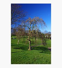 In the park Photographic Print