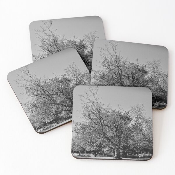 Item preview, Beautiful Tree In The Park designed and sold by hlpina1.