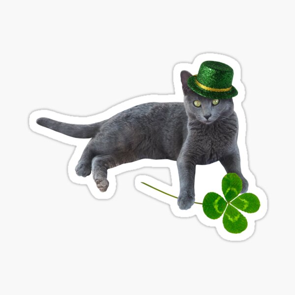 Produits Sur Le Theme Chaton Irlandais Redbubble