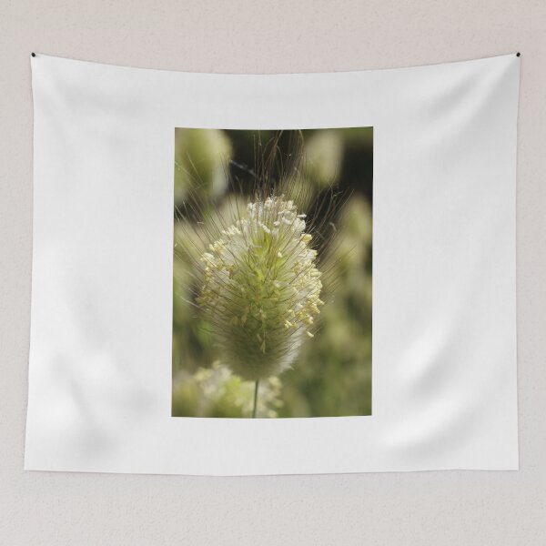 Item preview, Hare's-Tail Grass designed and sold by marens.