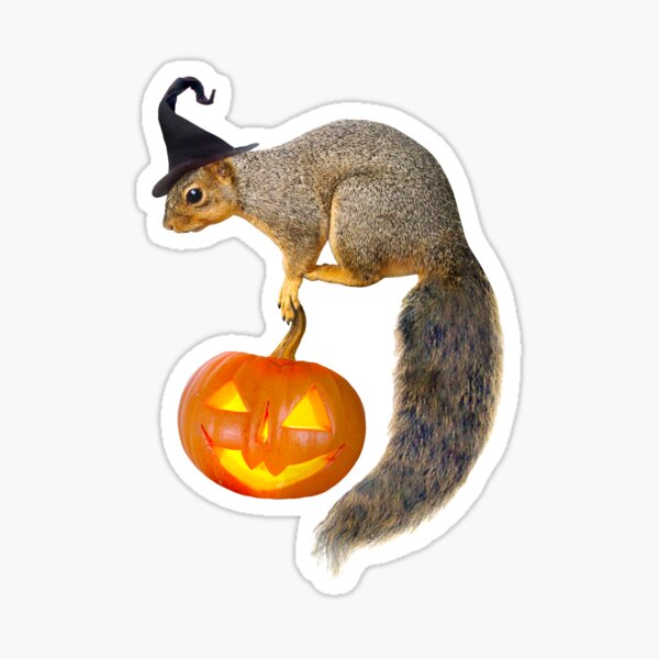 Witch Squirrel with Jack-o-Lantern Sticker