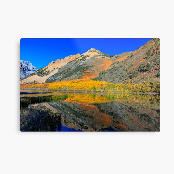 Bishop North Lake Technicolor Fall Metal Print