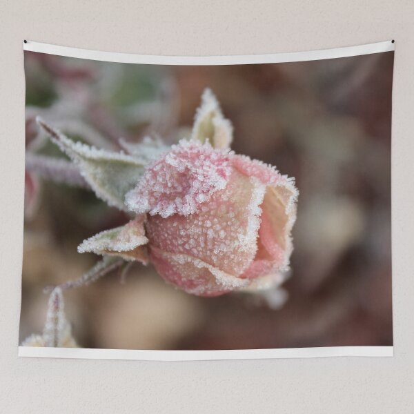 Item preview, Frosted Pink Rose designed and sold by Susie Kramer.