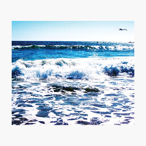 One Solitary Seagull at the Ocean by Jerald Simon (Music Motivation - musicmotivation.com) Photographic Print