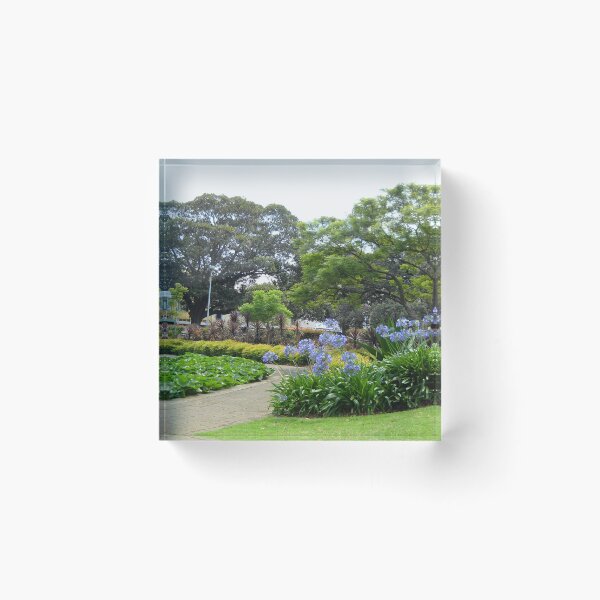 Item preview, Lily Of The Nile Walkway, Victoria Park, Glebe, NSW. designed and sold by C J Lewis.