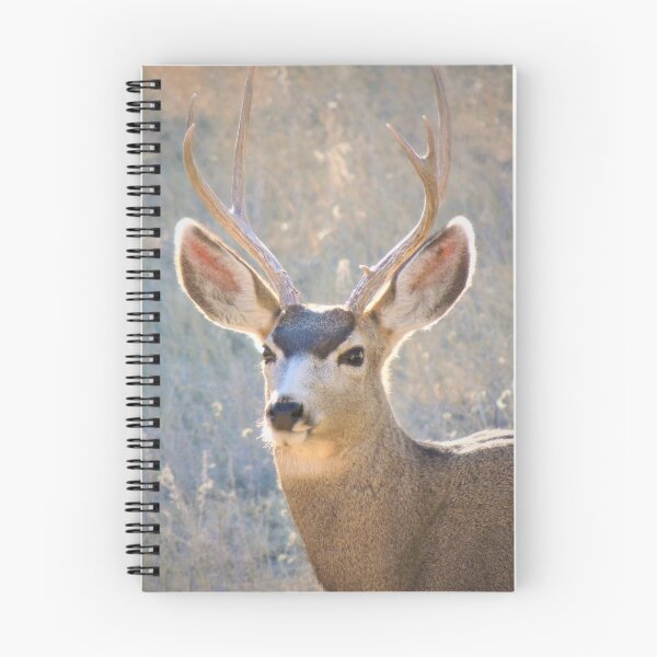 Item preview, Mule Deer Buck designed and sold by annAHorton.