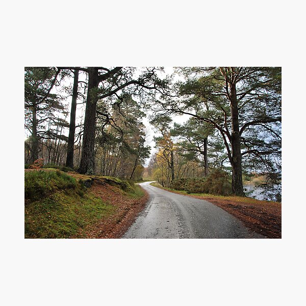 Item preview, The Road on the South Side designed and sold by Lindamell.