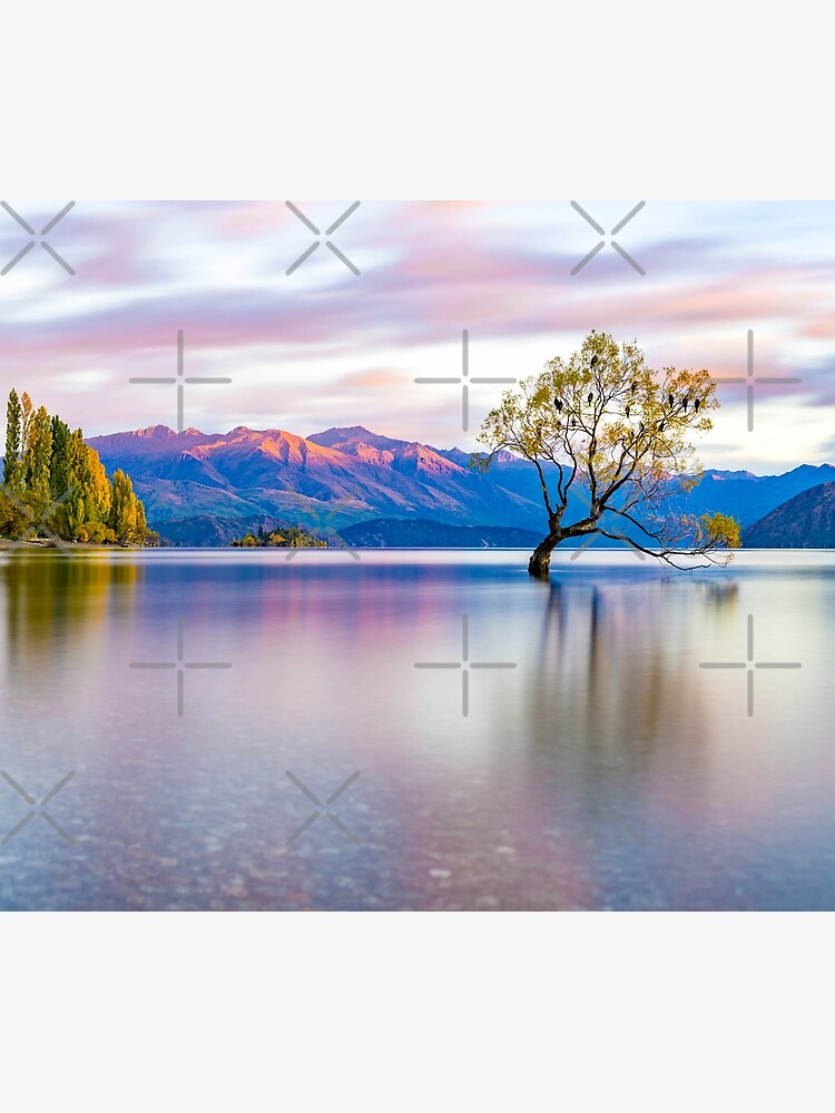 That Wanaka Tree by AdrianAlford