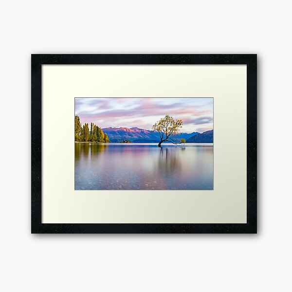 That Wanaka Tree Framed Art Print