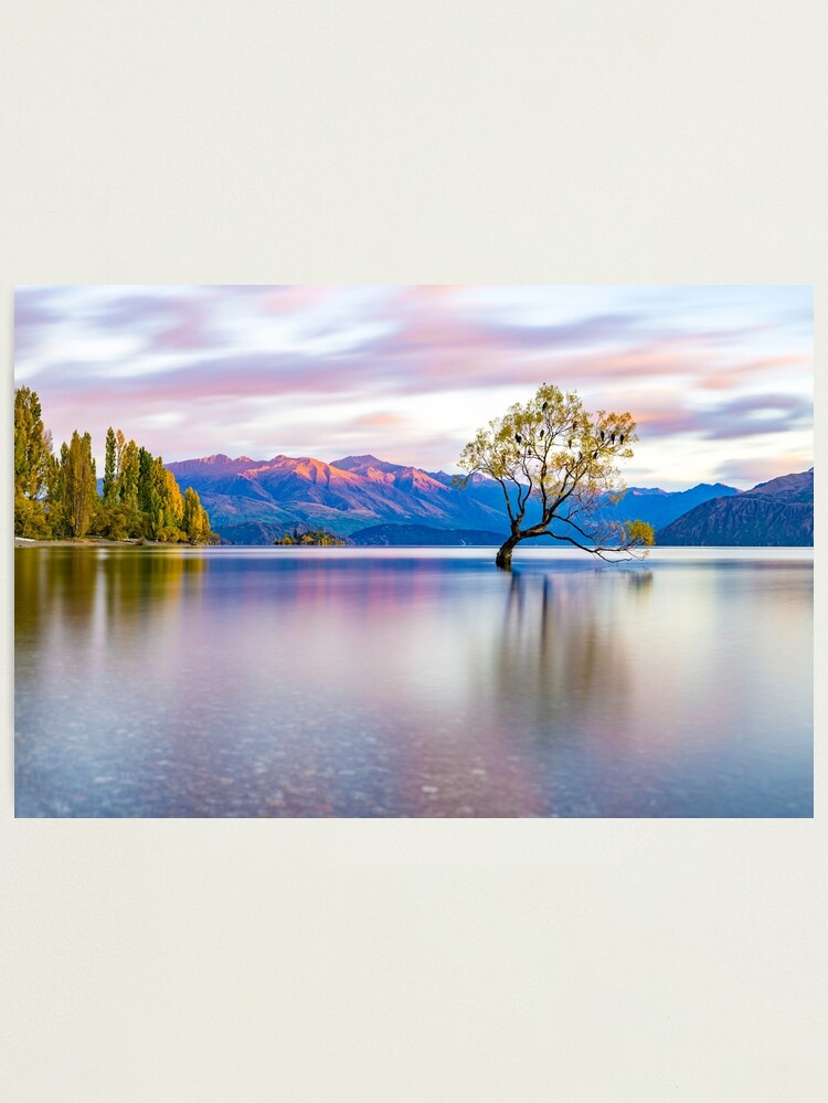 Alternate view of That Wanaka Tree Photographic Print