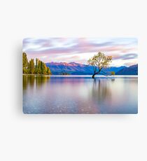 That Wanaka Tree Canvas Print