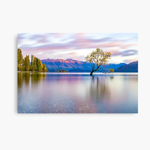 That Wanaka Tree Canvas Print