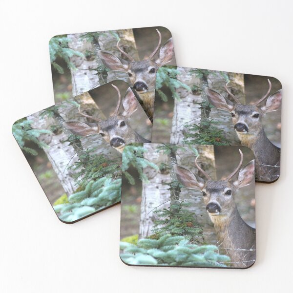 Item preview, Young Buck... designed and sold by RichImage.
