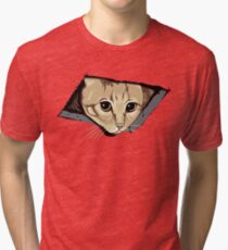 Ceiling Cat Watches You, LOLCat Favorite Tri-blend T-Shirt