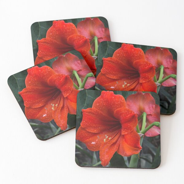 Item preview, Ruby Red Amaryllis  designed and sold by Georgia Mizuleva.