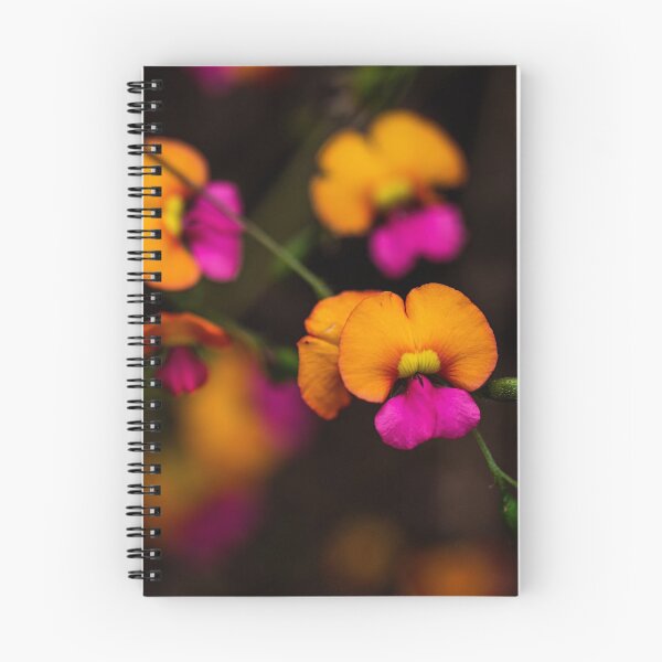 Item preview, Heart Leaf Flame Pea, Western Australia designed and sold by Life Images by Jill .