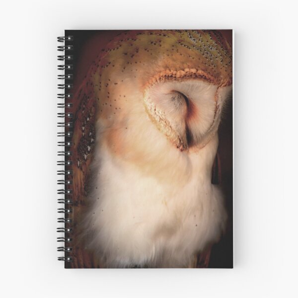Item preview, Sleepy Head designed and sold by Martin Ingley.