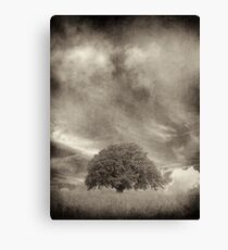 Storm Chaser Canvas Print