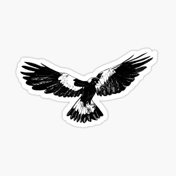 Magpie in Flight Sticker