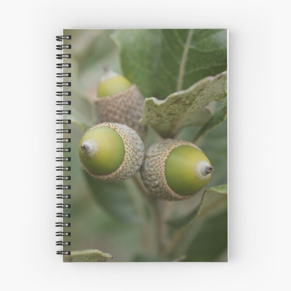 Artikelvorschau, Acorns entworfen und verkauft von marens.