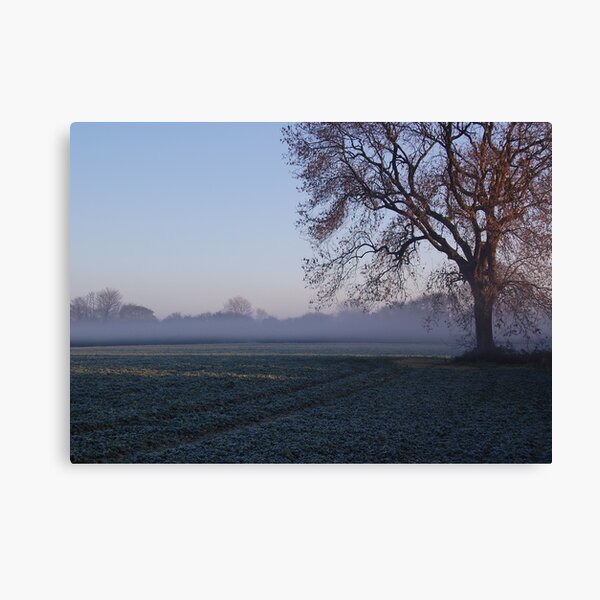 Morning mist over frost covered field Canvas Print