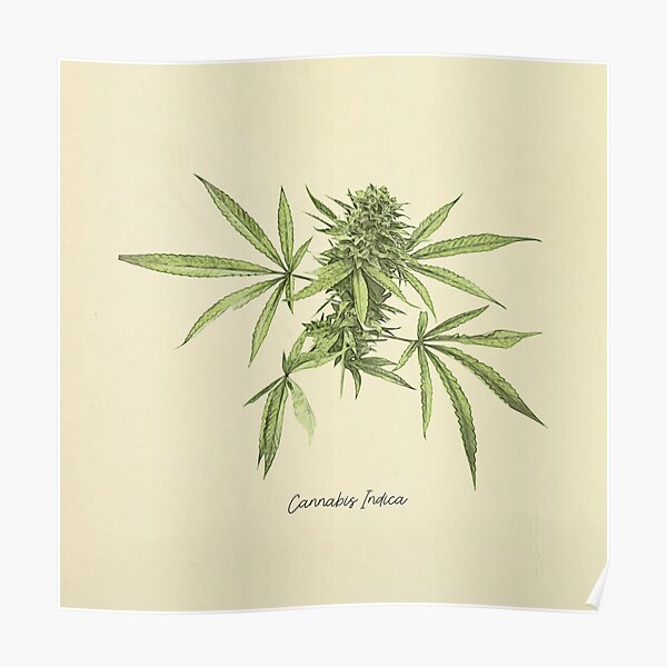 Marijuana Weed Ganja WPA type Poster Novelty Medical Pot Humor Art Print 206 