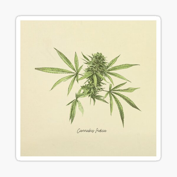 Item preview, Vintage botanical print - Cannabis designed and sold by hellcom.