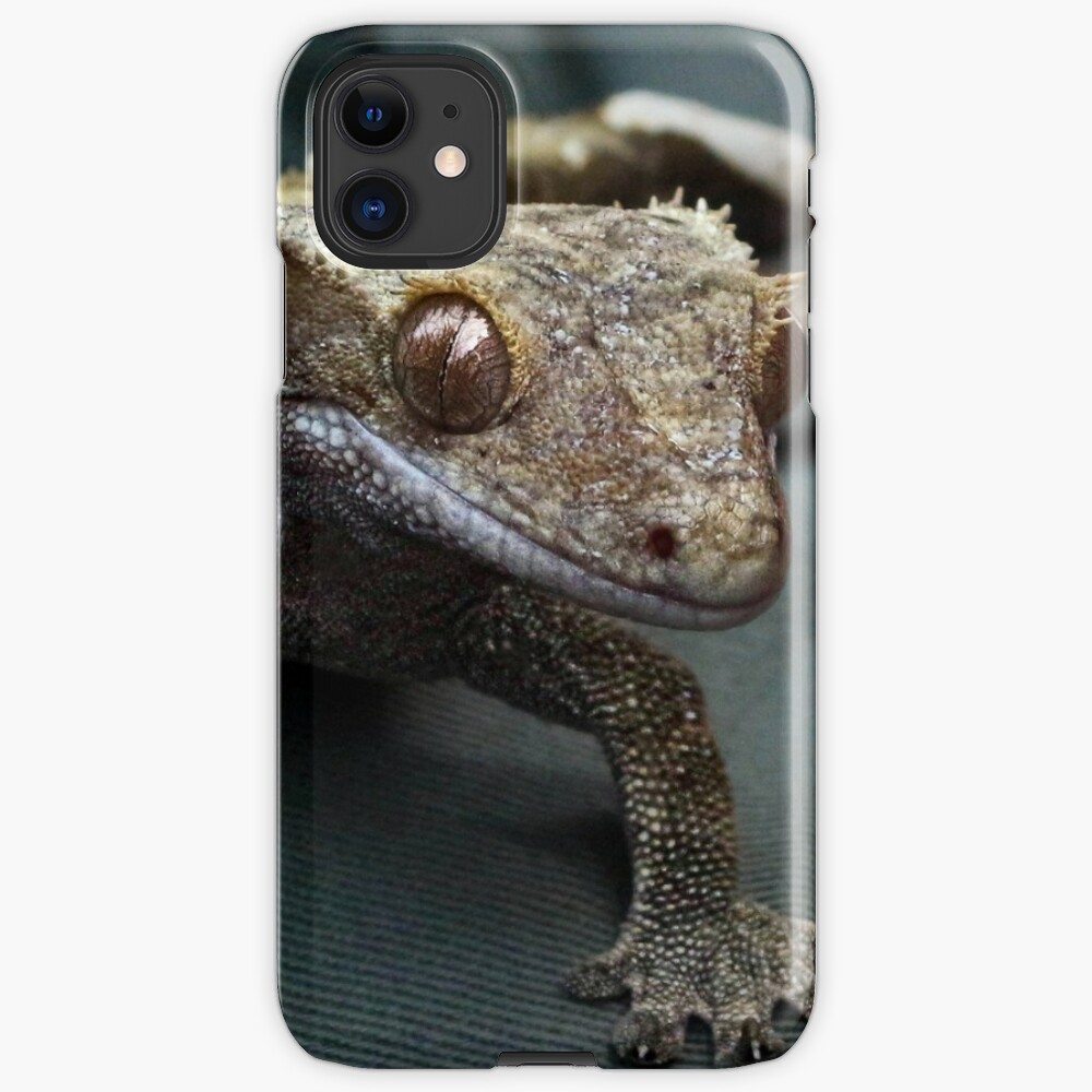gecko iphone toolkit