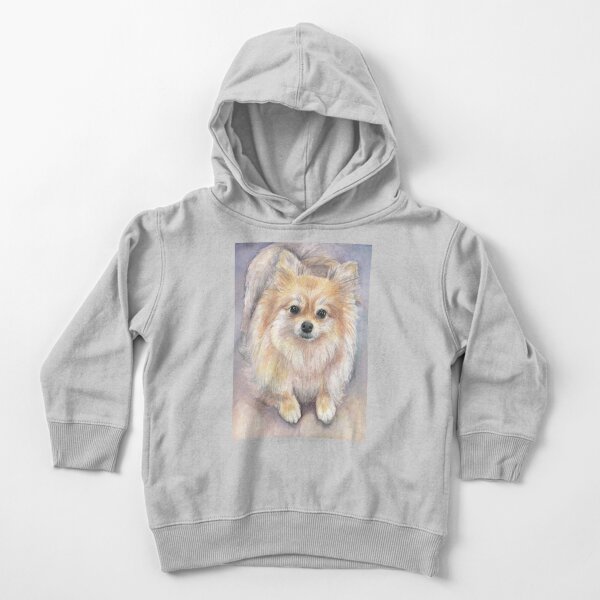 Sudadera Con Capucha Para Bebe Retrato Acuarela De Pomerania De Olga Shvartsur Redbubble