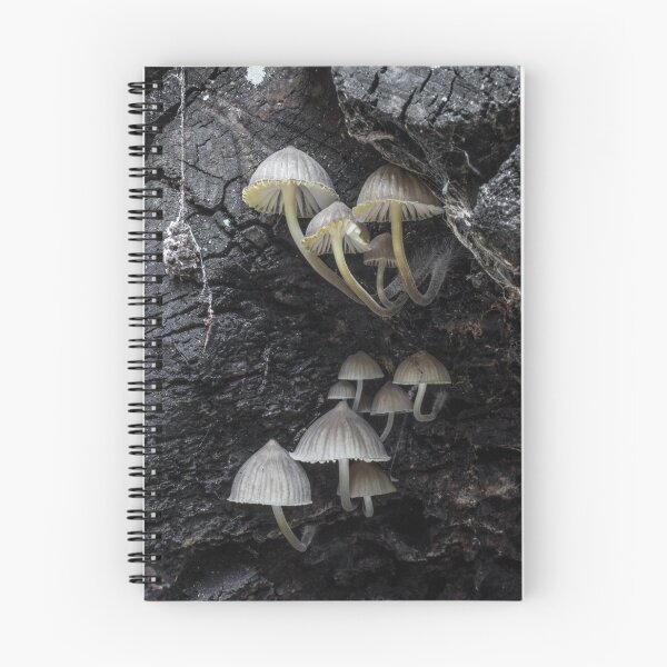 Item preview, Hidden kingdom designed and sold by Bruce Reardon.