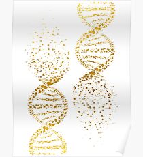 DNA-Doppelhelix-Genetik Poster