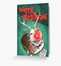 Boodolph - The Red-Nosed Pit Bull Greeting Card