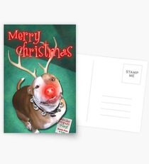 Boodolph - The Red-Nosed Pit Bull Postkarten