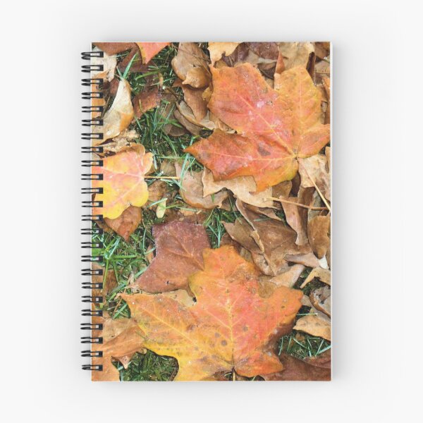 Item preview, Fall of Mapleshade  designed and sold by John McCloskey.