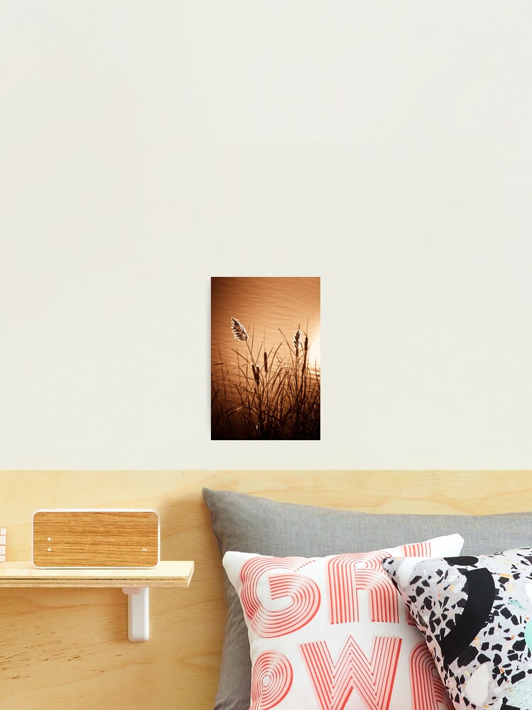 Thumbnail 2 of 3, Photographic Print, Copper Reeds designed and sold by trapane.